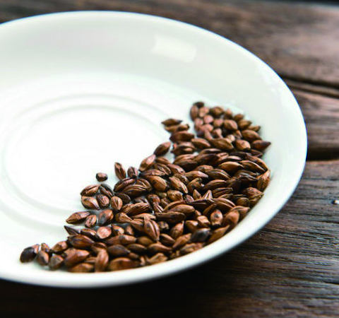 大麥茶的做法及功效作用講解