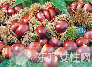 煮栗子需要多長時間 如何挑選好的栗子