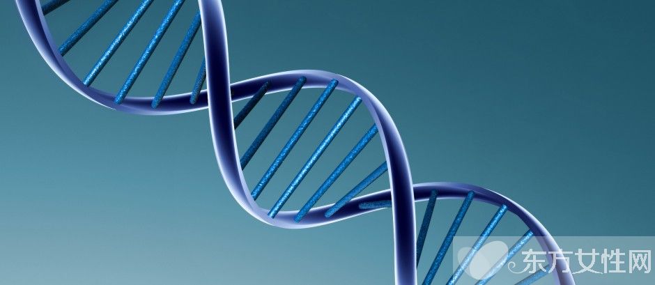 什么是染色體核型分析 染色體核型分析報告怎么看