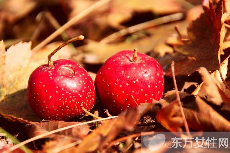 山楂片的功效與作用 揭秘山楂片泡水喝的七大好處