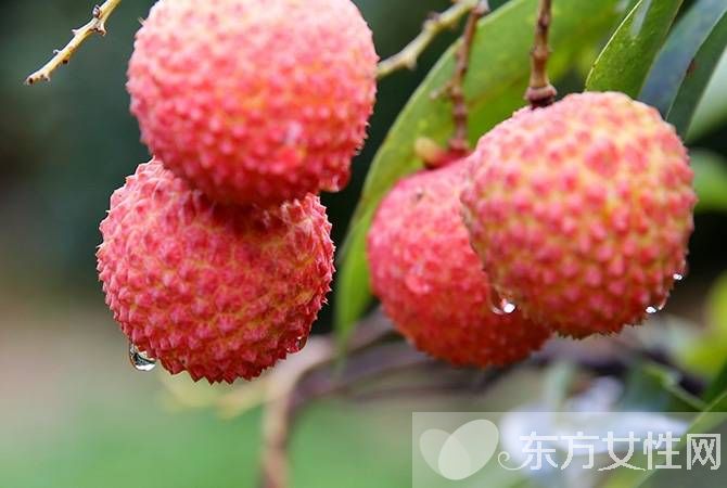 芒果能冷藏嗎  14種食物放冰箱反而壞的更快