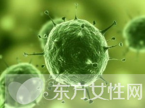 巨細(xì)胞病毒是什么 巨細(xì)胞病毒感染的癥狀