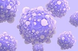 風(fēng)疹病毒是什么 風(fēng)疹病毒的癥狀有哪些