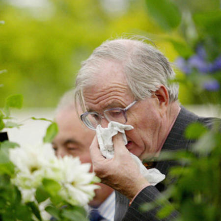 春天花粉過(guò)敏怎么辦 盡量少 沾花惹草