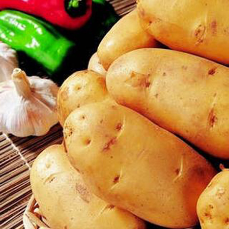 土豆長(zhǎng)芽了還能吃嗎 土豆的營(yíng)養(yǎng)做法