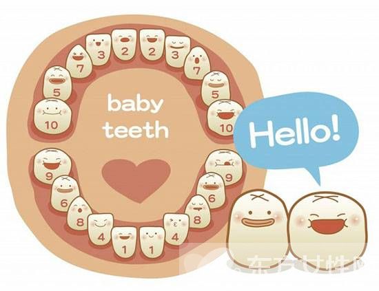 寶寶長牙順序及時間 這些方面一定要注意哦