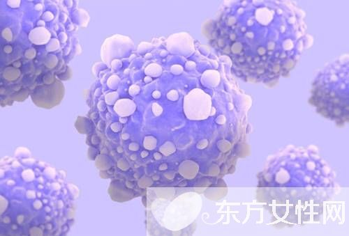 風(fēng)疹病毒是什么 風(fēng)疹病毒的癥狀有哪些