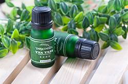 茶樹精油的功效與作用 茶樹精油的四大使用方法