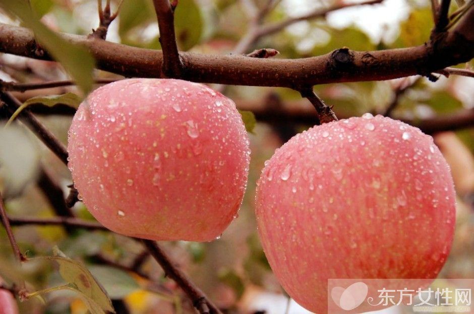 補(bǔ)鋅的食物有哪些 寶寶補(bǔ)鋅吃什么好