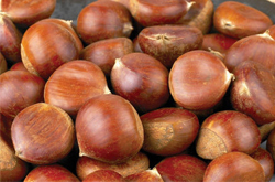 秋季吃板栗能健腎補(bǔ)脾 教你怎么栗子去皮