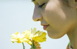 春天花粉過(guò)敏怎么辦 盡量少 沾花惹草