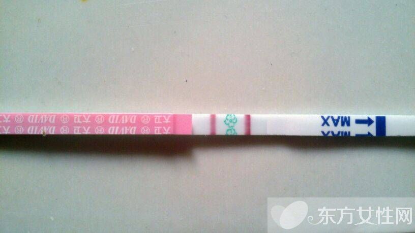 驗孕試紙的使用方法 驗孕試紙多久能測出來