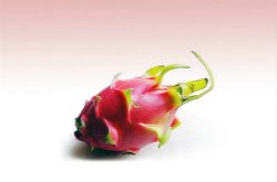 火龍果吃了會上火嗎 吃火龍果的注意事項(xiàng)