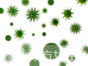 巨細(xì)胞病毒是什么 巨細(xì)胞病毒感染的癥狀