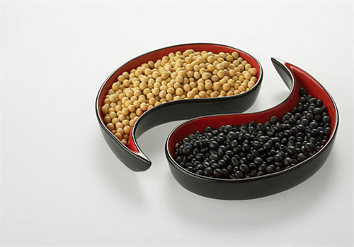 黑豆的作用有哪些 強腎固腎又美顏
