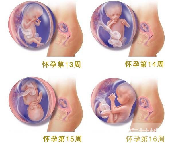 懷孕可以同房嗎 兩大要點(diǎn)告訴你