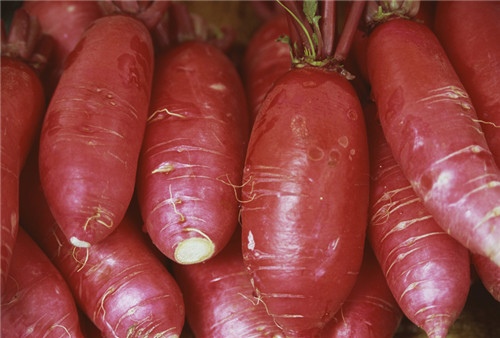 紅蘿卜的營養(yǎng)價值有哪些 它竟還有藥用價值