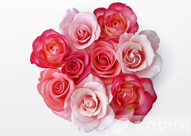 玫瑰的花語是什么 玫瑰的藥用價值居然這么龐大