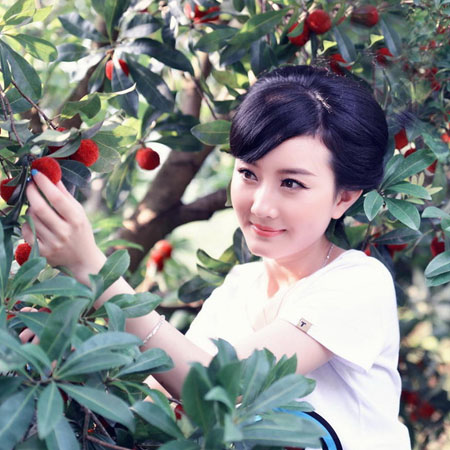 楊梅泡酒的功效有哪些 楊梅泡酒的配方