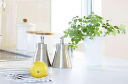 怎樣去除室內(nèi)異味呢 去除室內(nèi)異味實用妙招