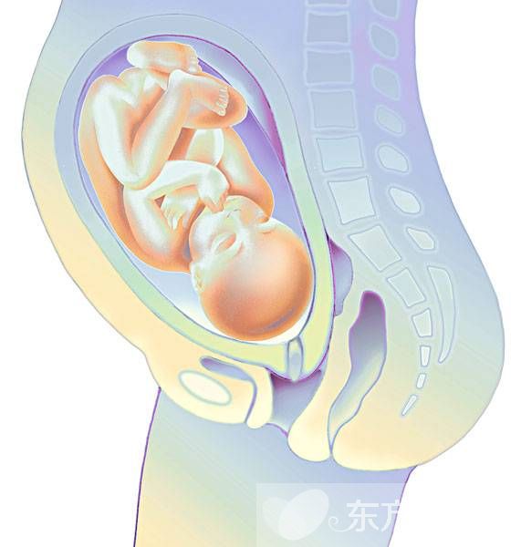 懷孕可以同房嗎 兩大要點(diǎn)告訴你