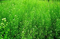 如何緩解眼睛疲勞 吃什么對眼睛好