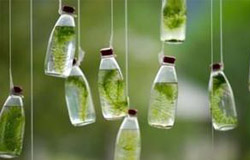 原來花露水的妙用這么多 千萬別浪費(fèi)了