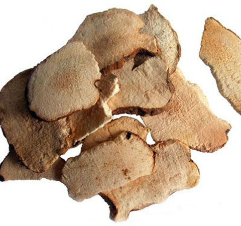 揭密土茯苓的副作用 過敏者需謹(jǐn)慎