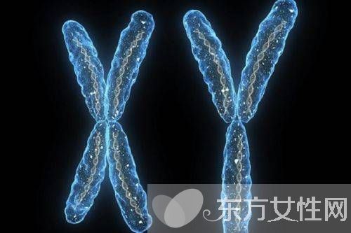 什么是染色體檢查 如何降低染色體異常幾率