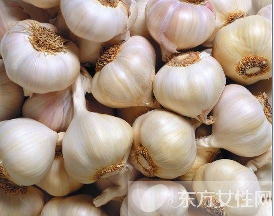 夏天野外室內(nèi)驅(qū)蚊方法 幾個(gè)妙招令蚊子消失的無(wú)影蹤