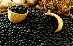 ＂豆中之王＂黑豆的功效及作用都有哪些