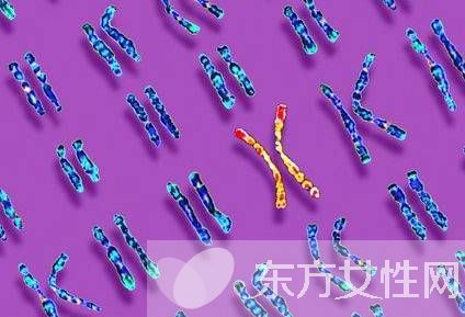 什么是染色體核型分析 染色體核型分析報告怎么看