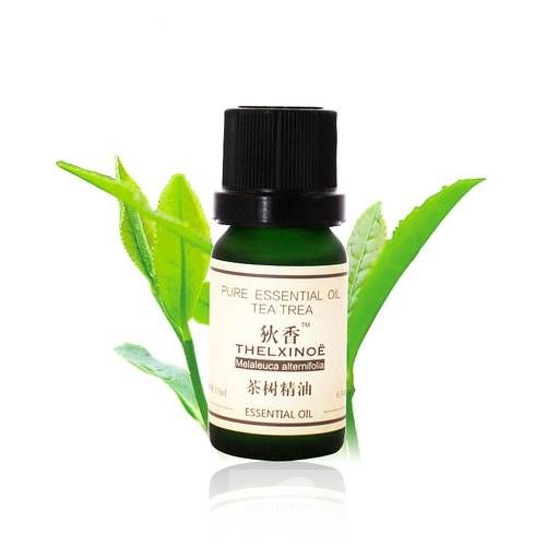 茶樹精油的功效與作用 茶樹精油的四大使用方法