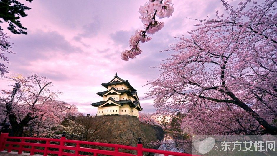 櫻花的花語(yǔ)是什么 櫻花的愛(ài)情傳說(shuō)是怎樣的