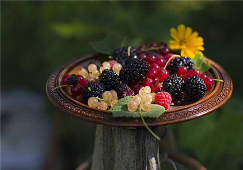 桑果的功效有哪些 體質(zhì)偏寒需注意