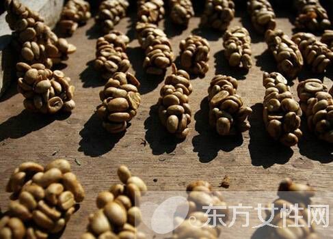 貓屎咖啡的由來 貓屎咖啡怎么泡