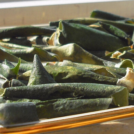 冬瓜皮的作用有哪些 它竟還能拿來吃