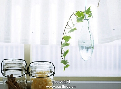 冬天室內(nèi)適合養(yǎng)什么花