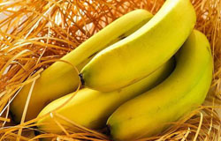 忌空腹吃香蕉 吃香蕉牢記三禁忌