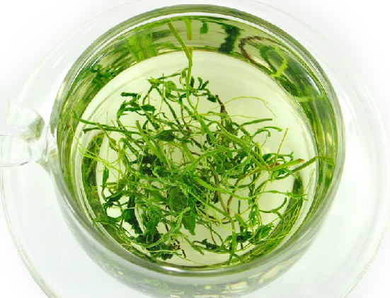 絞股藍泡水喝的功效 絞股藍食用方法