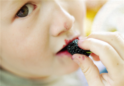 桑果的功效有哪些 體質(zhì)偏寒需注意