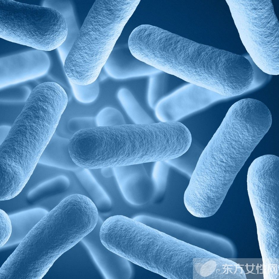 風(fēng)疹病毒是什么 風(fēng)疹病毒的癥狀有哪些