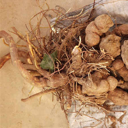 怎樣防止衰老 3大抗老秘籍讓你永遠(yuǎn)18歲