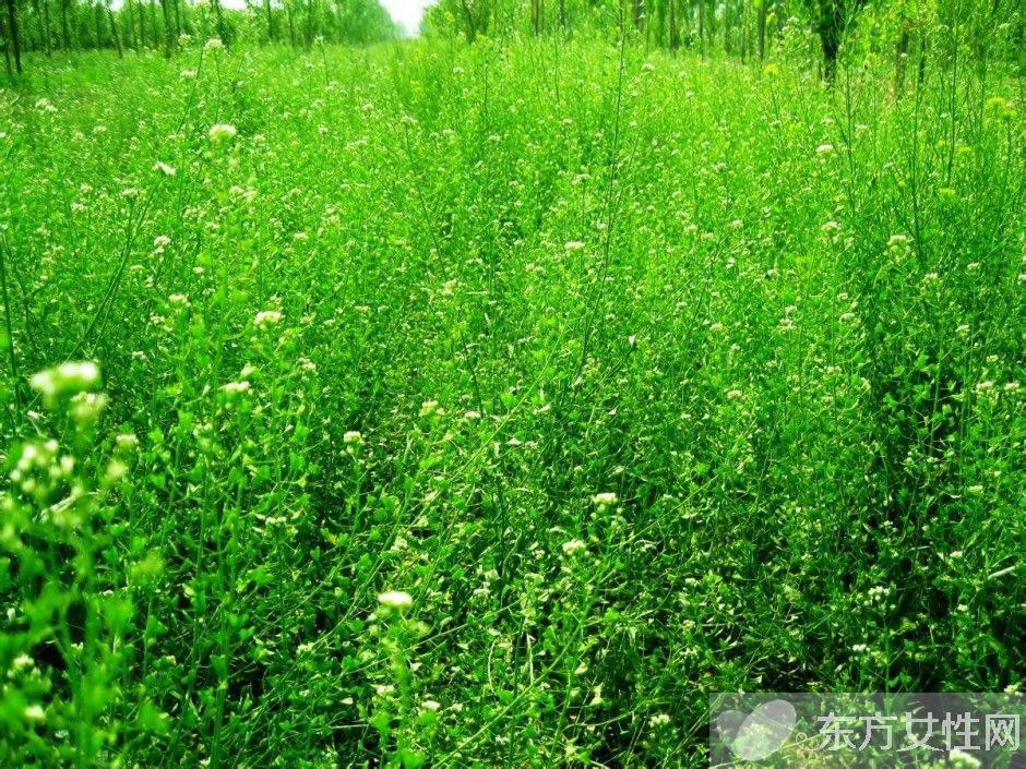 如何緩解眼睛疲勞 吃什么對(duì)眼睛好