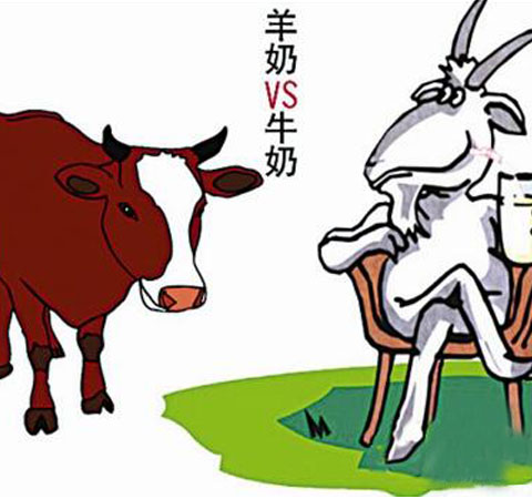 羊奶好還是牛奶好 兩種奶三個特點分析