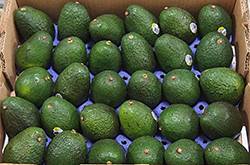 牛油果的營養(yǎng)價(jià)值及功效 牛油果的4大做法