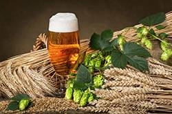 啤酒加味精的作用有哪些 會(huì)產(chǎn)生興奮劑嗎