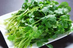 香菜的功效與作用及禁忌 這些人群最好少吃香菜