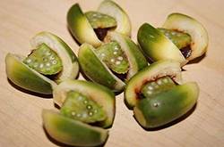 檳榔的危害有哪些 檳榔的六大藥理作用