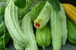 苦瓜的功效與作用 苦瓜泡水喝效果好過祛痘產(chǎn)品